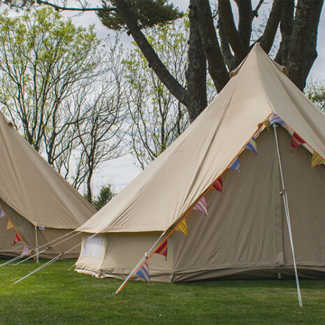 Jenny-Edit-1.jpg Jenny-Edit-1.jpg